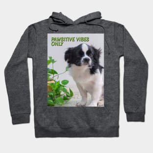 Pawsitive Vibes Only Hoodie